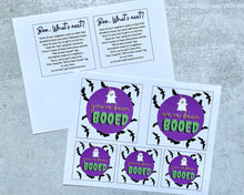 Load image into Gallery viewer, VALUE SET!  All 3 "You've Been Booed" Gift Tags!